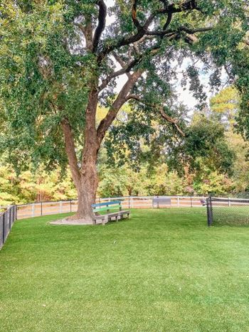 Upgraded turfed leash free bark park